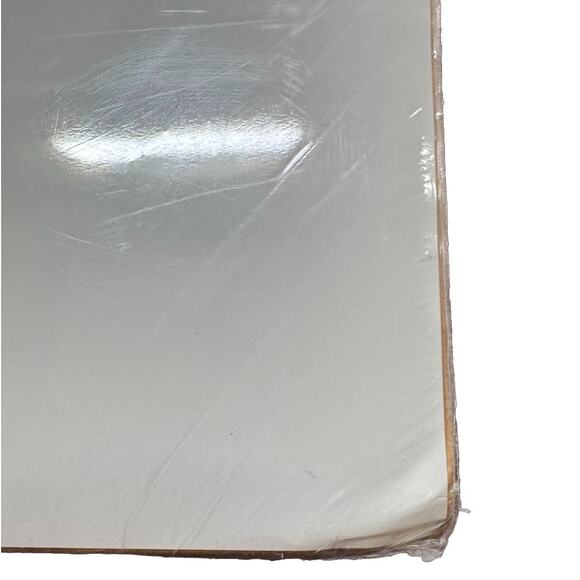 1999 Michael Cacy Mardi Gras Poster Sealed Alligator Accordion Laissez Les Bon - Picture 10 of 11